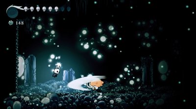 Hollow Knight