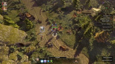 Sword Coast Legends