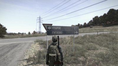 DayZ