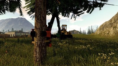 Forestry 2017 The Simulation