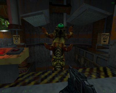 Half-Life Opposing Force