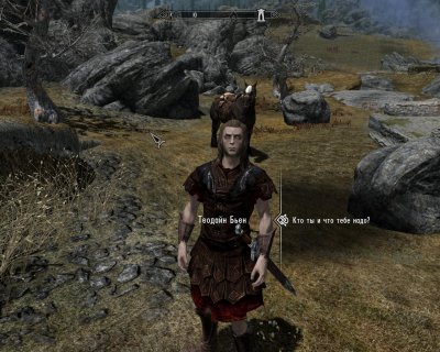 Skyrim  