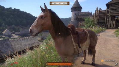 Kingdom Come Deliverance 