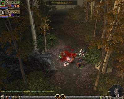 Dungeon Siege 2