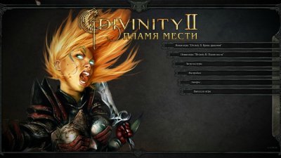 Divinity 2