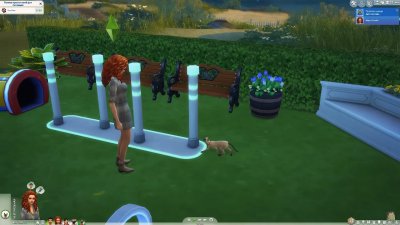 The Sims 4 Cats & Dogs