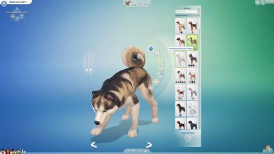 The Sims 4 Cats & Dogs