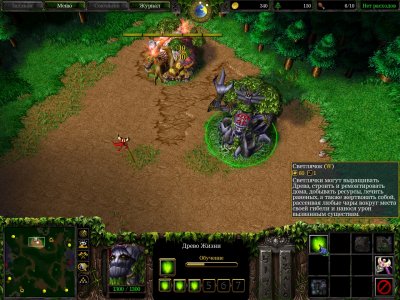 Warcraft 3