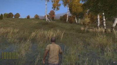 DayZ Standalone   