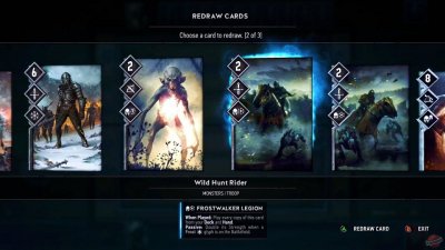 Gwent The Witcher Card Game