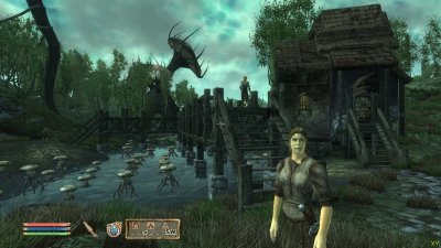 The Elder Scrolls IV Oblivion