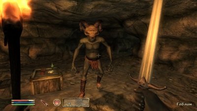 The Elder Scrolls IV Oblivion