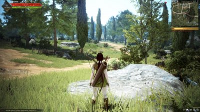 Black Desert Remastered