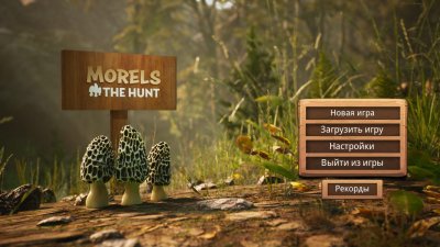 Morels The Hunt