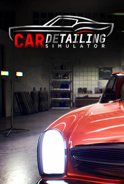 Car Detailing Simulator