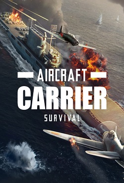 Aircraft Carrier Survival 