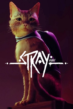 Stray