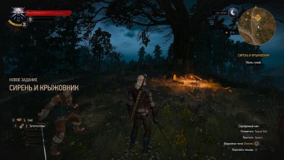 The Witcher 3 Wild Hunt Next Gen Update