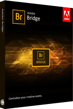 Adobe Bridge 2023